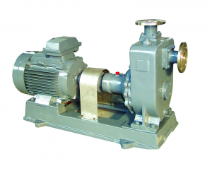 ZX Self Priming Pump ZX Self Priming Pump